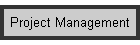 Project Management