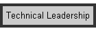 Technical Leadership